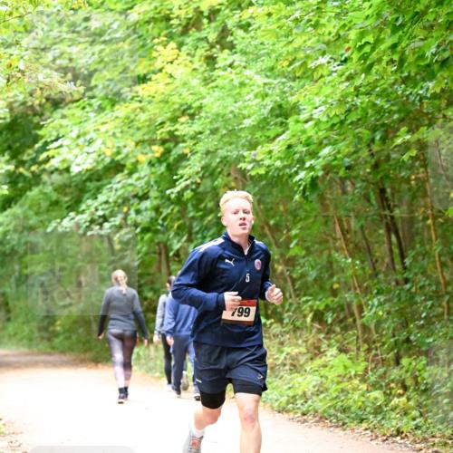 11.10.2026 - Bramfelder Halbmarathon 2026 Dr. Thomas Lammeyer http://msf.ph/oto/10818821 11.10.2026 10:09:31 Laufen 5, 799 meine-sportfotos.de