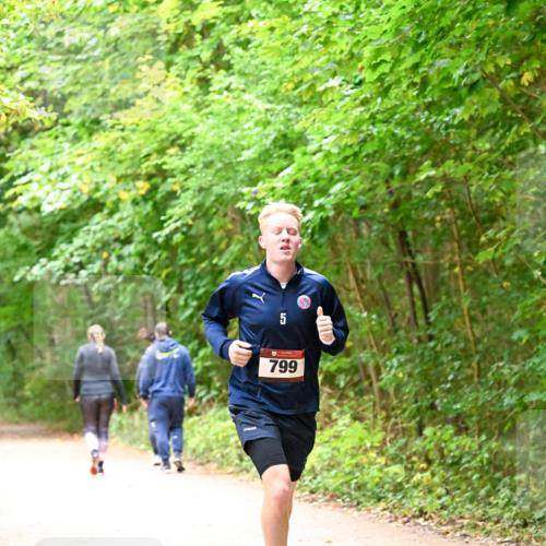 11.10.2026 - Bramfelder Halbmarathon 2026 Dr. Thomas Lammeyer http://msf.ph/oto/10818823 11.10.2026 10:09:31 Laufen 799 meine-sportfotos.de