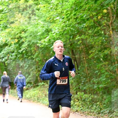 11.10.2026 - Bramfelder Halbmarathon 2026 Dr. Thomas Lammeyer http://msf.ph/oto/10818825 11.10.2026 10:09:31 Laufen 5, 799 meine-sportfotos.de