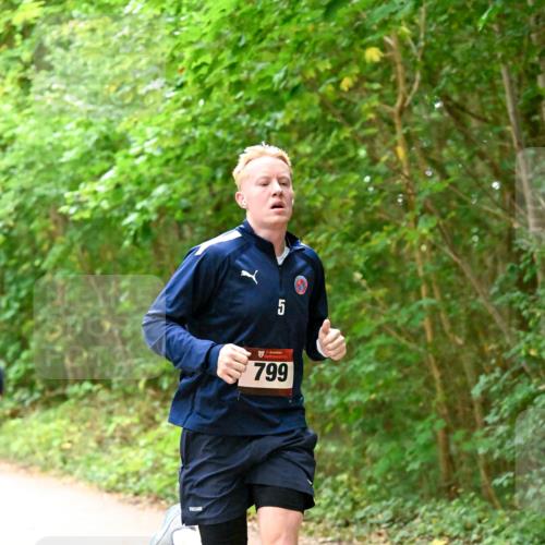 11.10.2026 - Bramfelder Halbmarathon 2026 Dr. Thomas Lammeyer http://msf.ph/oto/10818827 11.10.2026 10:09:32 Laufen 5, 799 meine-sportfotos.de