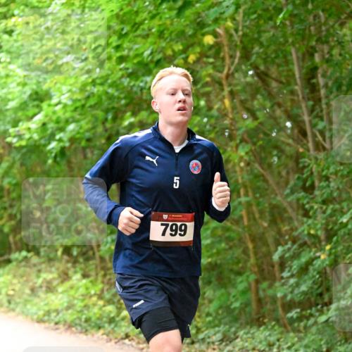 11.10.2026 - Bramfelder Halbmarathon 2026 Dr. Thomas Lammeyer http://msf.ph/oto/10818828 11.10.2026 10:09:32 Laufen 5, 799 meine-sportfotos.de