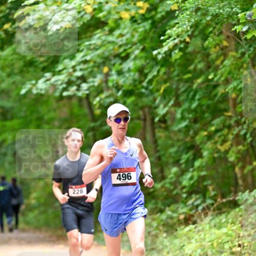 11.10.2026 - Bramfelder Halbmarathon 2026 Dr. Thomas Lammeyer http://msf.ph/oto/10818849 11.10.2026 10:09:46 Laufen 228, 496 meine-sportfotos.de