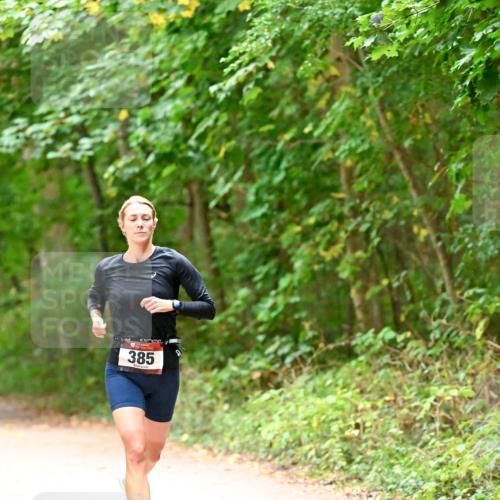 11.10.2026 - Bramfelder Halbmarathon 2026 Dr. Thomas Lammeyer http://msf.ph/oto/10818885 11.10.2026 10:10:13 Laufen 385 meine-sportfotos.de