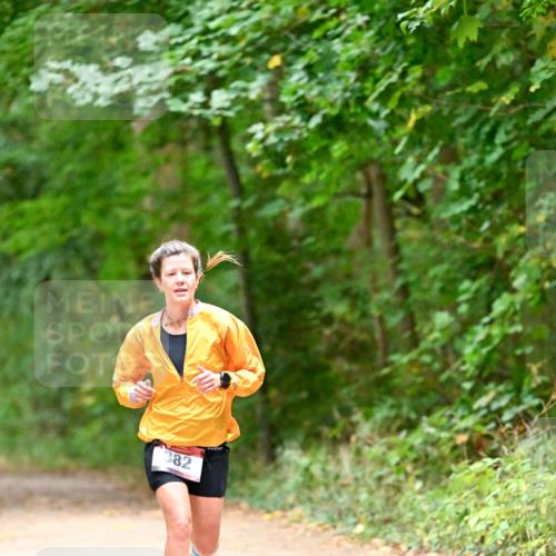 11.10.2026 - Bramfelder Halbmarathon 2026 Dr. Thomas Lammeyer http://msf.ph/oto/10818930 11.10.2026 10:10:31 Laufen 382 meine-sportfotos.de