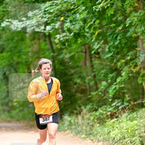 11.10.2026 - Bramfelder Halbmarathon 2026 Dr. Thomas Lammeyer http://msf.ph/oto/10818932 11.10.2026 10:10:31 Laufen 382 meine-sportfotos.de