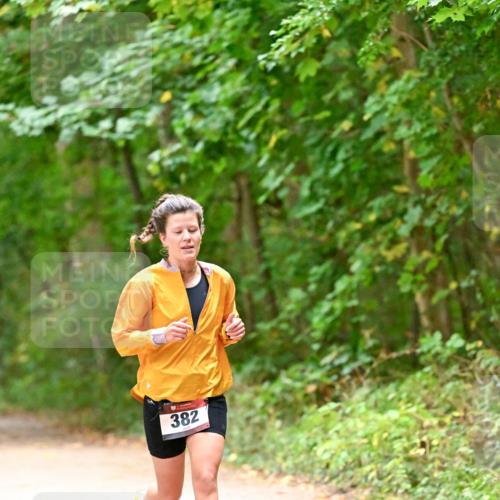11.10.2026 - Bramfelder Halbmarathon 2026 Dr. Thomas Lammeyer http://msf.ph/oto/10818937 11.10.2026 10:10:32 Laufen 382 meine-sportfotos.de