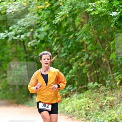 11.10.2026 - Bramfelder Halbmarathon 2026 Dr. Thomas Lammeyer http://msf.ph/oto/10818940 11.10.2026 10:10:32 Laufen 382 meine-sportfotos.de
