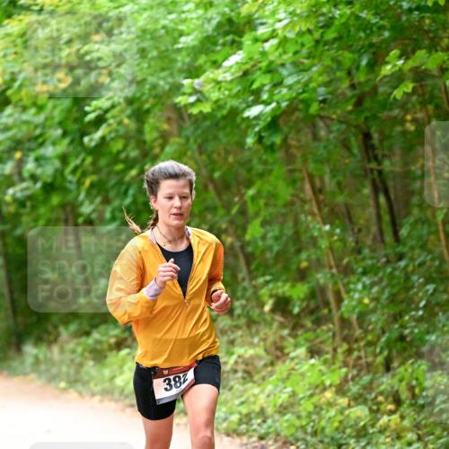 11.10.2026 - Bramfelder Halbmarathon 2026 Dr. Thomas Lammeyer http://msf.ph/oto/10818946 11.10.2026 10:10:33 Laufen 382 meine-sportfotos.de