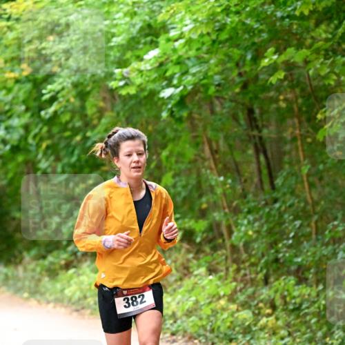 11.10.2026 - Bramfelder Halbmarathon 2026 Dr. Thomas Lammeyer http://msf.ph/oto/10818947 11.10.2026 10:10:33 Laufen 382 meine-sportfotos.de