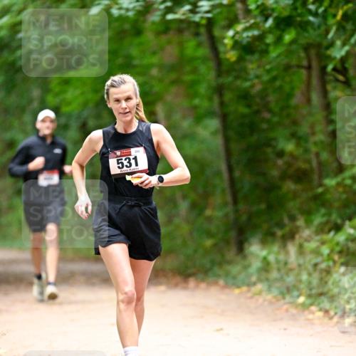 11.10.2026 - Bramfelder Halbmarathon 2026 Dr. Thomas Lammeyer http://msf.ph/oto/10818981 11.10.2026 10:10:57 Laufen 531, 289 meine-sportfotos.de