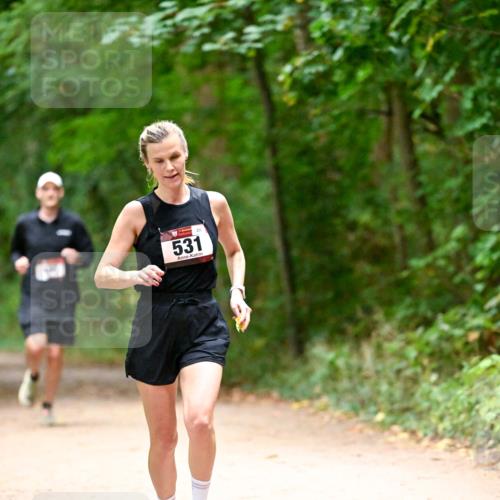 11.10.2026 - Bramfelder Halbmarathon 2026 Dr. Thomas Lammeyer http://msf.ph/oto/10818983 11.10.2026 10:10:57 Laufen 531 meine-sportfotos.de