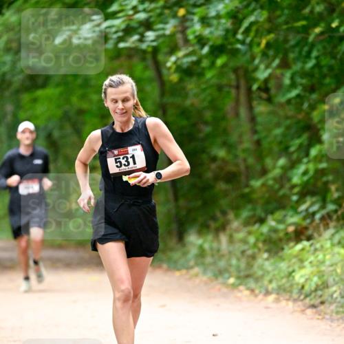11.10.2026 - Bramfelder Halbmarathon 2026 Dr. Thomas Lammeyer http://msf.ph/oto/10818986 11.10.2026 10:10:58 Laufen 531, 289 meine-sportfotos.de