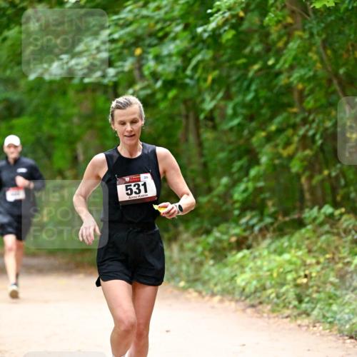 11.10.2026 - Bramfelder Halbmarathon 2026 Dr. Thomas Lammeyer http://msf.ph/oto/10818990 11.10.2026 10:10:58 Laufen 531, 289 meine-sportfotos.de