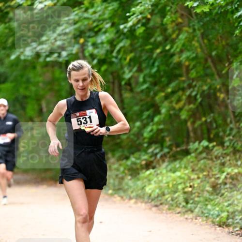 11.10.2026 - Bramfelder Halbmarathon 2026 Dr. Thomas Lammeyer http://msf.ph/oto/10818991 11.10.2026 10:10:58 Laufen 531, 289 meine-sportfotos.de