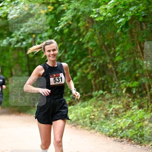 11.10.2026 - Bramfelder Halbmarathon 2026 Dr. Thomas Lammeyer http://msf.ph/oto/10818994 11.10.2026 10:10:59 Laufen 531 meine-sportfotos.de