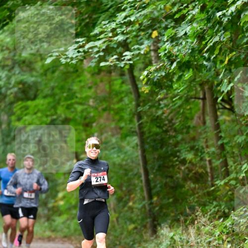11.10.2026 - Bramfelder Halbmarathon 2026 Dr. Thomas Lammeyer http://msf.ph/oto/10819119 11.10.2026 10:11:32 Laufen 274 meine-sportfotos.de