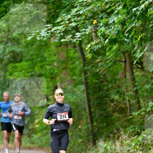 11.10.2026 - Bramfelder Halbmarathon 2026 Dr. Thomas Lammeyer http://msf.ph/oto/10819120 11.10.2026 10:11:32 Laufen 274 meine-sportfotos.de
