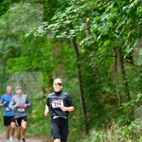 11.10.2026 - Bramfelder Halbmarathon 2026 Dr. Thomas Lammeyer http://msf.ph/oto/10819122 11.10.2026 10:11:32 Laufen 274 meine-sportfotos.de