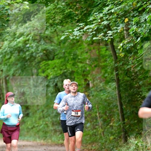 11.10.2026 - Bramfelder Halbmarathon 2026 Dr. Thomas Lammeyer http://msf.ph/oto/10819133 11.10.2026 10:11:34 Laufen 16 meine-sportfotos.de