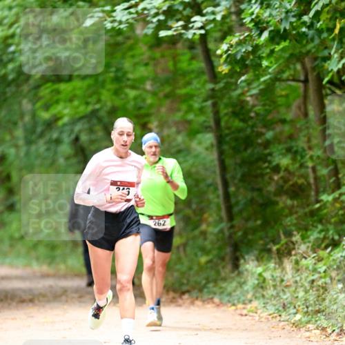 11.10.2026 - Bramfelder Halbmarathon 2026 Dr. Thomas Lammeyer http://msf.ph/oto/10819188 11.10.2026 10:12:24 Laufen 25, 262 meine-sportfotos.de