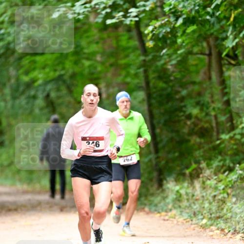11.10.2026 - Bramfelder Halbmarathon 2026 Dr. Thomas Lammeyer http://msf.ph/oto/10819192 11.10.2026 10:12:25 Laufen 246, 262 meine-sportfotos.de