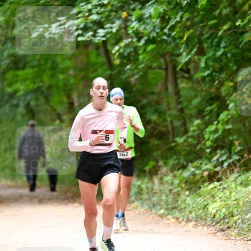 11.10.2026 - Bramfelder Halbmarathon 2026 Dr. Thomas Lammeyer http://msf.ph/oto/10819198 11.10.2026 10:12:25 Laufen 262 meine-sportfotos.de