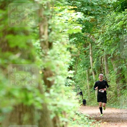 11.10.2026 - Bramfelder Halbmarathon 2026 Dr. Thomas Lammeyer http://msf.ph/oto/10819285 11.10.2026 10:13:08 Laufen 54 meine-sportfotos.de
