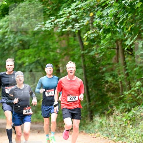 11.10.2026 - Bramfelder Halbmarathon 2026 Dr. Thomas Lammeyer http://msf.ph/oto/10819434 11.10.2026 10:13:44 Laufen 81, 240, 815, 2722 meine-sportfotos.de