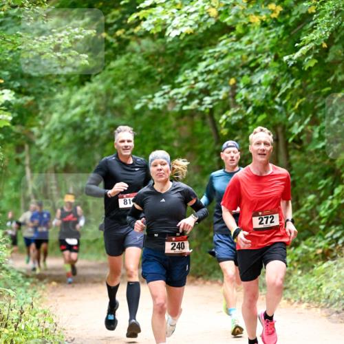 11.10.2026 - Bramfelder Halbmarathon 2026 Dr. Thomas Lammeyer http://msf.ph/oto/10819442 11.10.2026 10:13:46 Laufen 81, 240, 272 meine-sportfotos.de