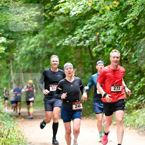 11.10.2026 - Bramfelder Halbmarathon 2026 Dr. Thomas Lammeyer http://msf.ph/oto/10819443 11.10.2026 10:13:46 Laufen 814, 240, 272 meine-sportfotos.de