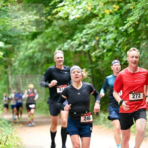 11.10.2026 - Bramfelder Halbmarathon 2026 Dr. Thomas Lammeyer http://msf.ph/oto/10819447 11.10.2026 10:13:47 Laufen 81, 240, 272, 251 meine-sportfotos.de