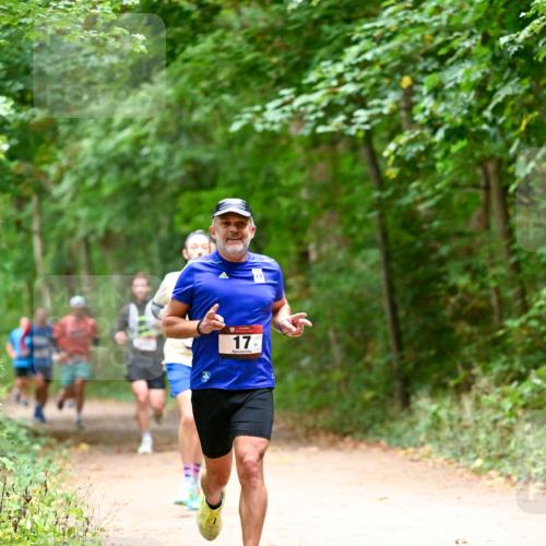 11.10.2026 - Bramfelder Halbmarathon 2026 Dr. Thomas Lammeyer http://msf.ph/oto/10819480 11.10.2026 10:13:54 Laufen 17 meine-sportfotos.de