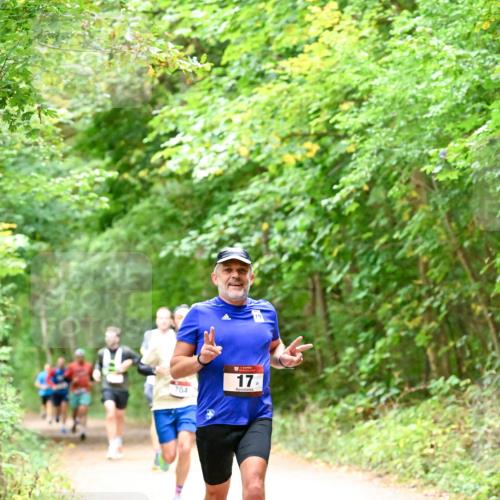 11.10.2026 - Bramfelder Halbmarathon 2026 Dr. Thomas Lammeyer http://msf.ph/oto/10819490 11.10.2026 10:13:56 Laufen 704, 17 meine-sportfotos.de
