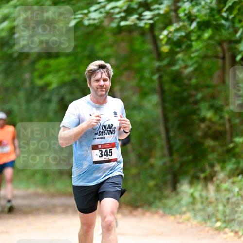 11.10.2026 - Bramfelder Halbmarathon 2026 Dr. Thomas Lammeyer http://msf.ph/oto/10819805 11.10.2026 10:16:21 Laufen 21, 345 meine-sportfotos.de
