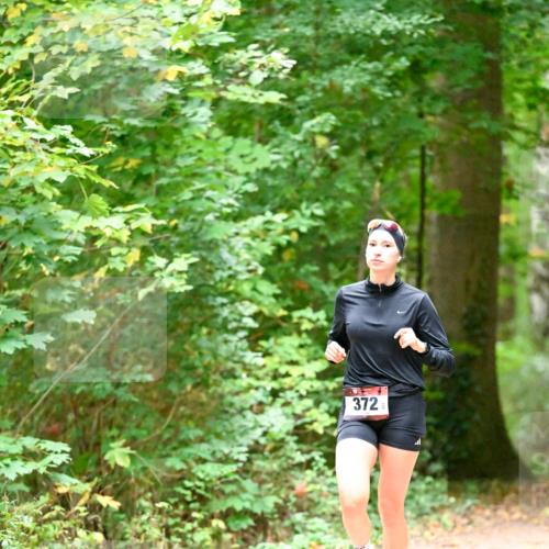 11.10.2026 - Bramfelder Halbmarathon 2026 Dr. Thomas Lammeyer http://msf.ph/oto/10819819 11.10.2026 10:16:51 Laufen 372 meine-sportfotos.de