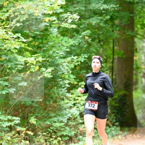 11.10.2026 - Bramfelder Halbmarathon 2026 Dr. Thomas Lammeyer http://msf.ph/oto/10819820 11.10.2026 10:16:51 Laufen 372 meine-sportfotos.de