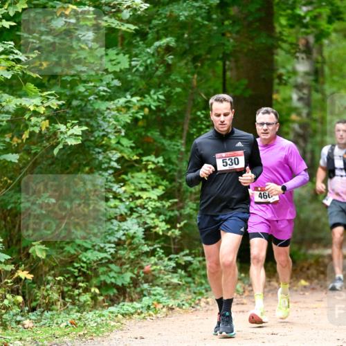 11.10.2026 - Bramfelder Halbmarathon 2026 Dr. Thomas Lammeyer http://msf.ph/oto/10819900 11.10.2026 10:17:47 Laufen 530, 460 meine-sportfotos.de