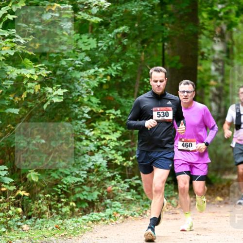 11.10.2026 - Bramfelder Halbmarathon 2026 Dr. Thomas Lammeyer http://msf.ph/oto/10819901 11.10.2026 10:17:47 Laufen 530, 460 meine-sportfotos.de