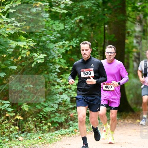 11.10.2026 - Bramfelder Halbmarathon 2026 Dr. Thomas Lammeyer http://msf.ph/oto/10819904 11.10.2026 10:17:48 Laufen 530, 460 meine-sportfotos.de