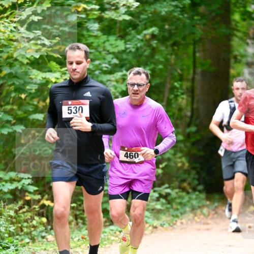 11.10.2026 - Bramfelder Halbmarathon 2026 Dr. Thomas Lammeyer http://msf.ph/oto/10819912 11.10.2026 10:17:49 Laufen 530, 460, 43 meine-sportfotos.de