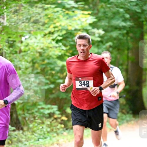11.10.2026 - Bramfelder Halbmarathon 2026 Dr. Thomas Lammeyer http://msf.ph/oto/10819924 11.10.2026 10:17:52 Laufen 35, 348 meine-sportfotos.de