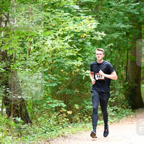 11.10.2026 - Bramfelder Halbmarathon 2026 Dr. Thomas Lammeyer http://msf.ph/oto/10819950 11.10.2026 10:18:03 Laufen 641 meine-sportfotos.de