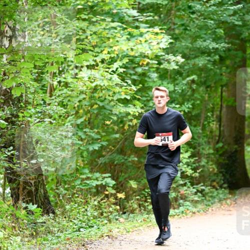 11.10.2026 - Bramfelder Halbmarathon 2026 Dr. Thomas Lammeyer http://msf.ph/oto/10819952 11.10.2026 10:18:04 Laufen 41 meine-sportfotos.de