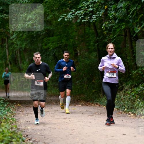 11.10.2026 - Bramfelder Halbmarathon 2026 Dr. Thomas Lammeyer http://msf.ph/oto/10820012 11.10.2026 10:18:47 Laufen 66, 159, 266 meine-sportfotos.de