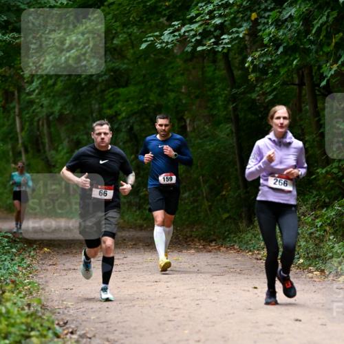 11.10.2026 - Bramfelder Halbmarathon 2026 Dr. Thomas Lammeyer http://msf.ph/oto/10820014 11.10.2026 10:18:47 Laufen 66, 159, 266 meine-sportfotos.de