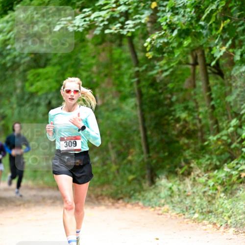 11.10.2026 - Bramfelder Halbmarathon 2026 Dr. Thomas Lammeyer http://msf.ph/oto/10820036 11.10.2026 10:18:57 Laufen 309 meine-sportfotos.de