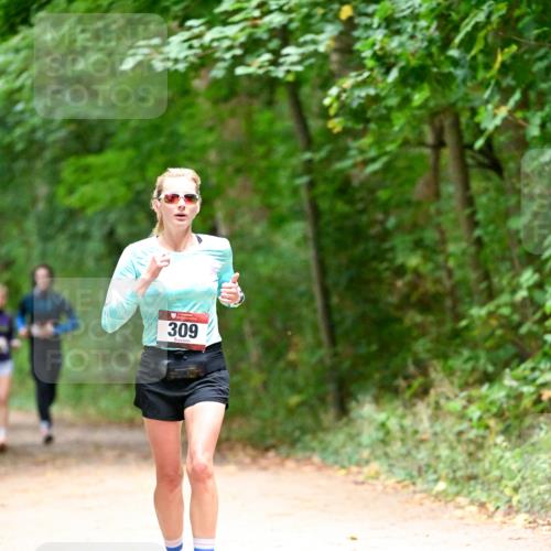 11.10.2026 - Bramfelder Halbmarathon 2026 Dr. Thomas Lammeyer http://msf.ph/oto/10820038 11.10.2026 10:18:57 Laufen 309 meine-sportfotos.de