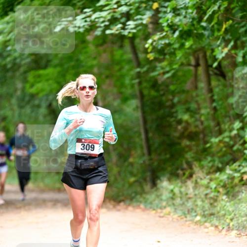 11.10.2026 - Bramfelder Halbmarathon 2026 Dr. Thomas Lammeyer http://msf.ph/oto/10820039 11.10.2026 10:18:57 Laufen 309 meine-sportfotos.de