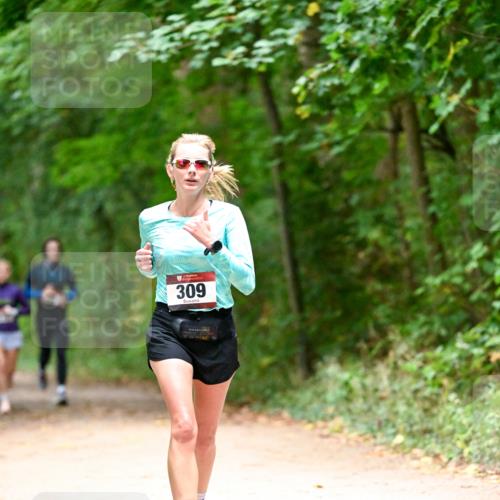 11.10.2026 - Bramfelder Halbmarathon 2026 Dr. Thomas Lammeyer http://msf.ph/oto/10820041 11.10.2026 10:18:58 Laufen 309 meine-sportfotos.de