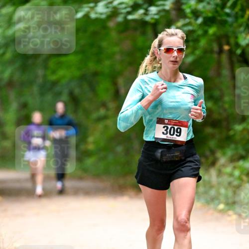 11.10.2026 - Bramfelder Halbmarathon 2026 Dr. Thomas Lammeyer http://msf.ph/oto/10820049 11.10.2026 10:18:59 Laufen 309 meine-sportfotos.de